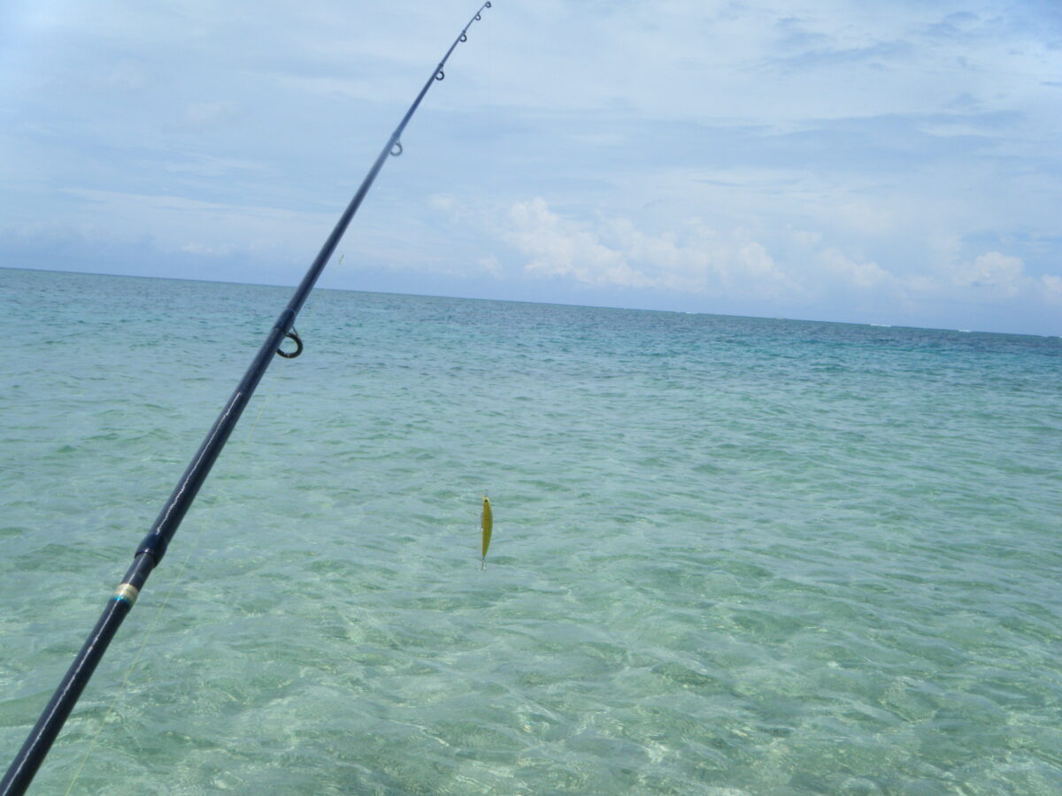 水深が浅くミノーで探ります