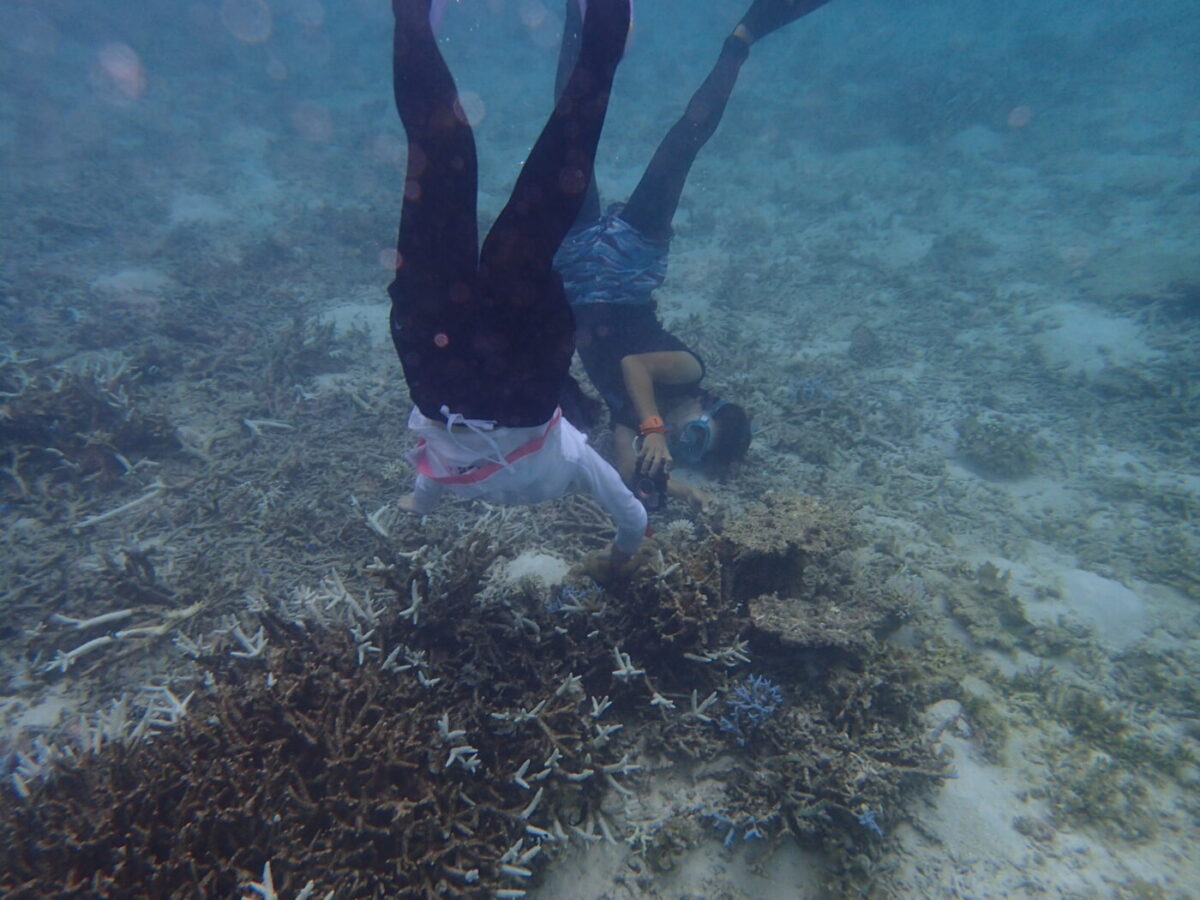 水中撮影って難しい