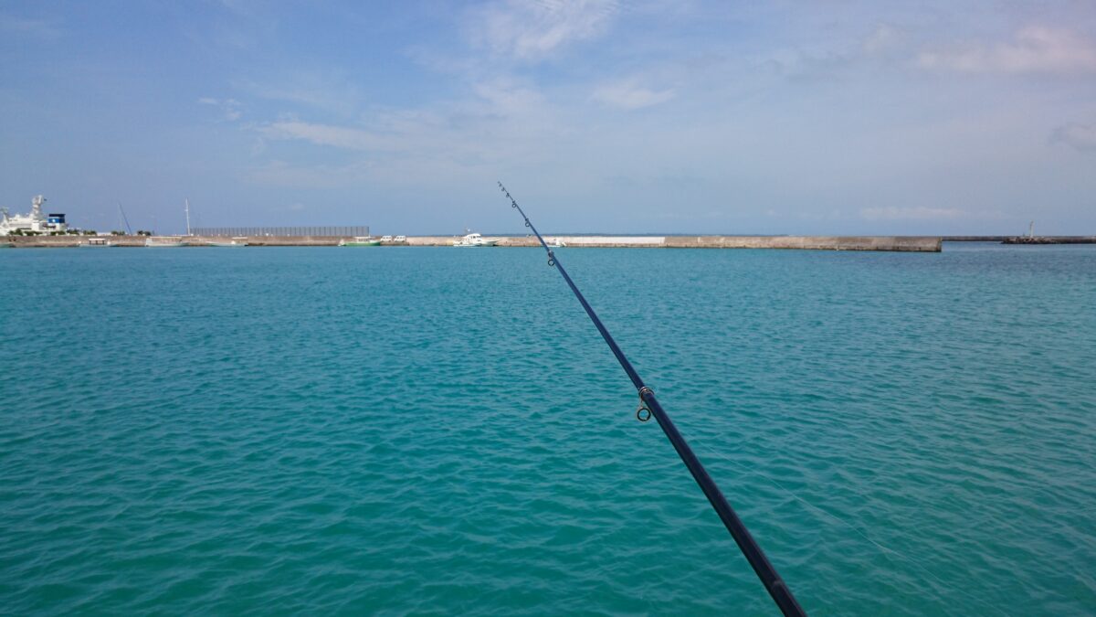 石垣港で釣り