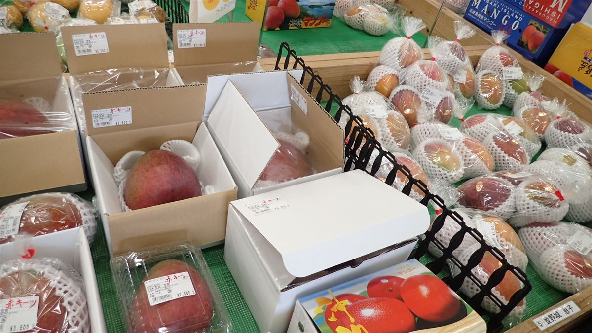 アップルマンゴー美味しいね