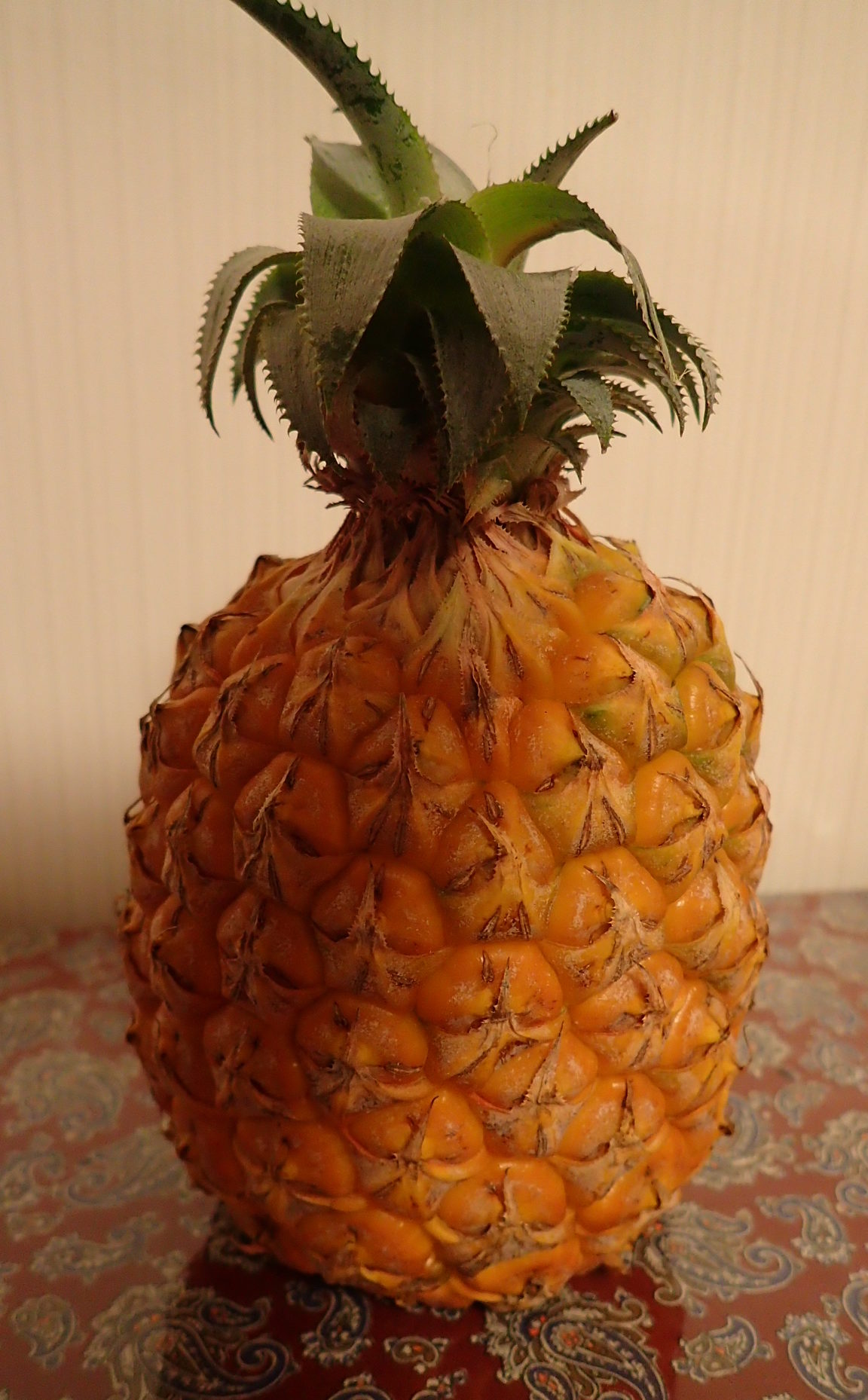 スナックパイン