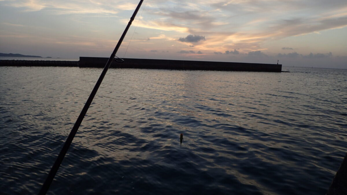 夜明けの伊野田漁港