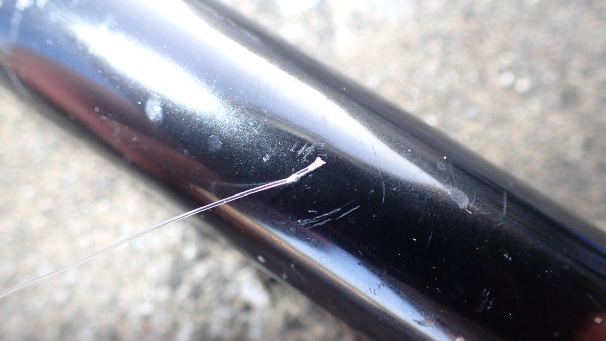 サメの仕業か？