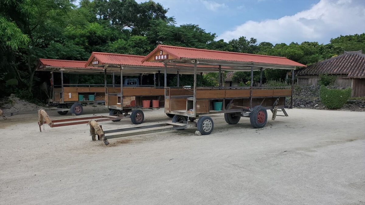 牛には会えなかった