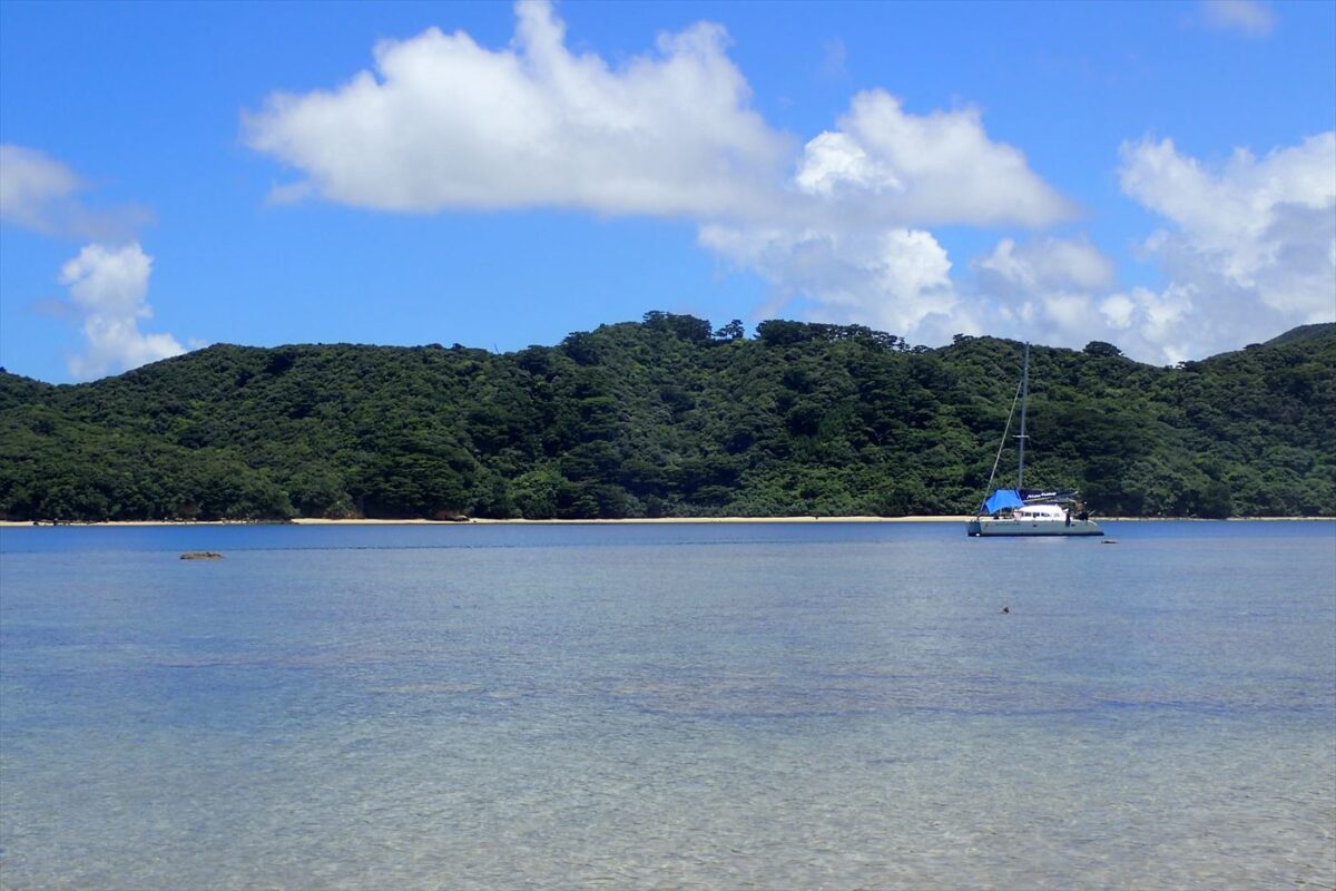 ヨットって家一軒買えるくらいの価格だそうです