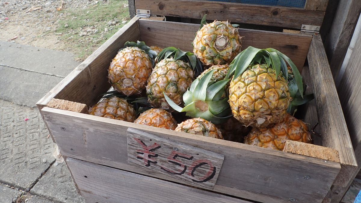 1個50円のパイナップルも熟れておいしいよ