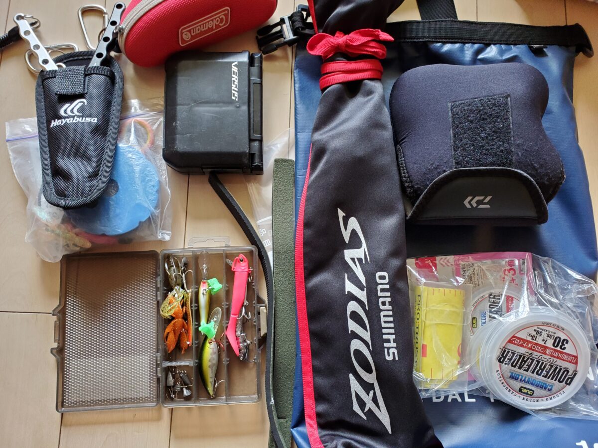 左半分は預入の荷物、右半分が機内持ち込み