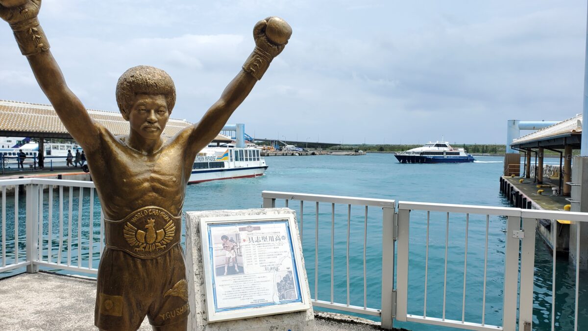 カンムリワシかっこいいよね