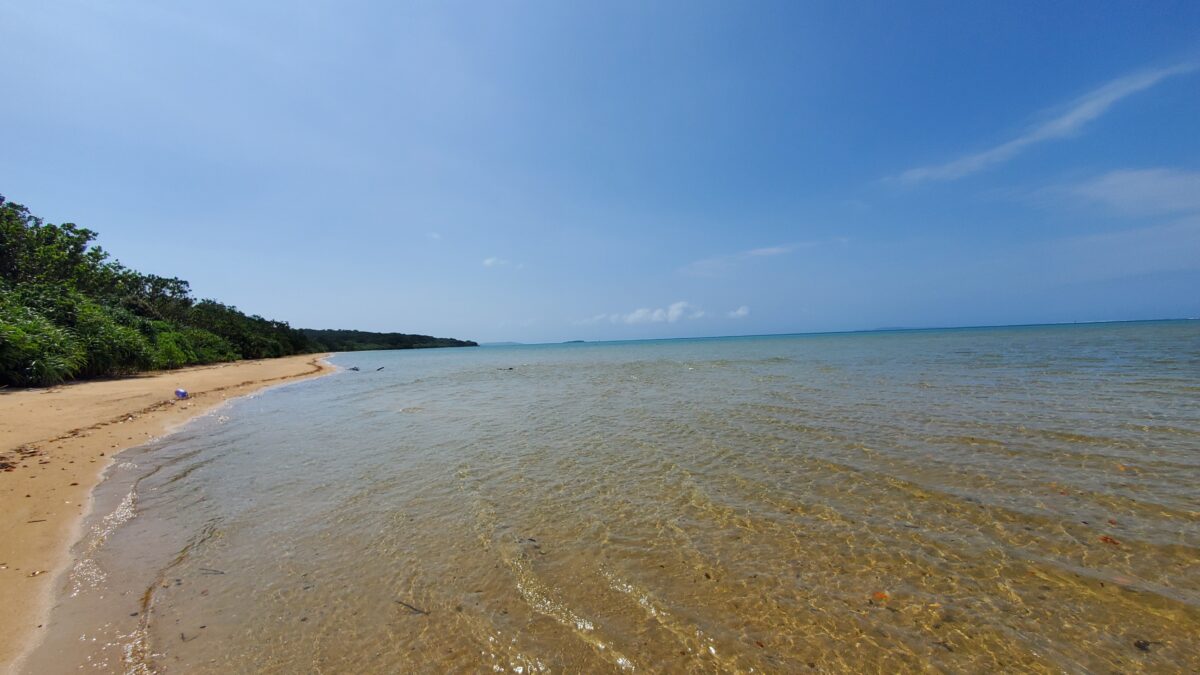 我が家のカメラで撮影、クーラ川河口のビーチ