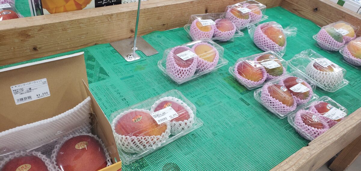 訳ありでないマンゴーはいいお値段です
