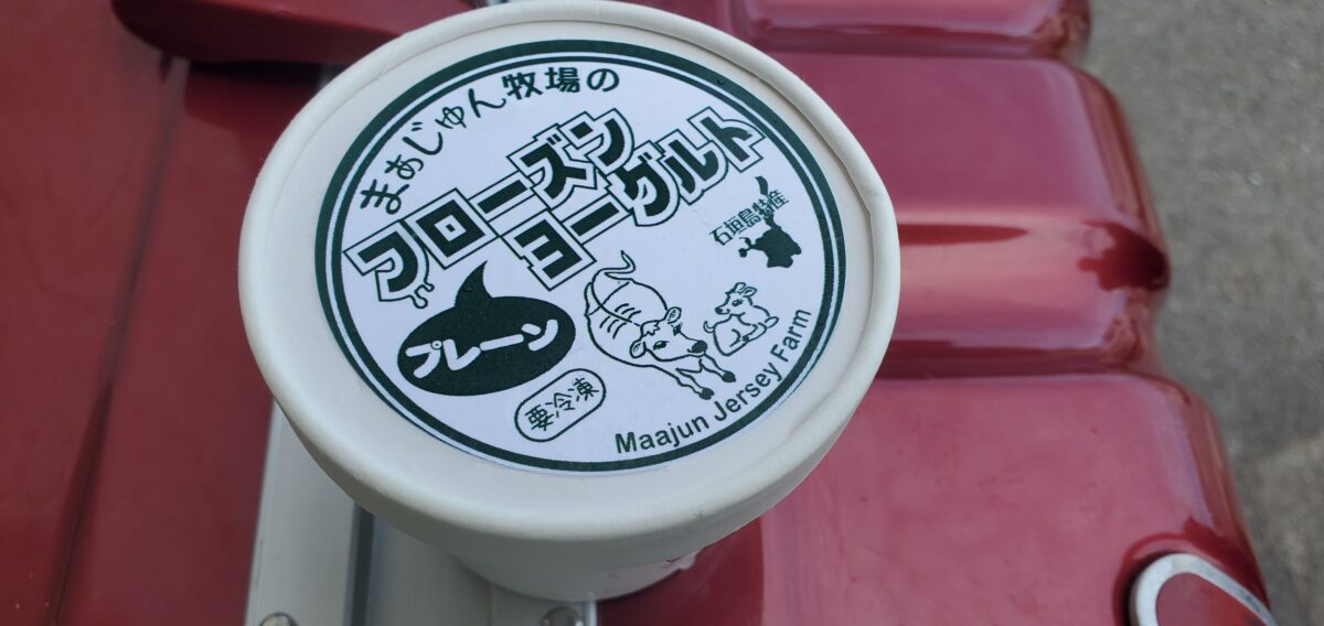 サマーちゃまーおすすめのフローズンヨーグルト