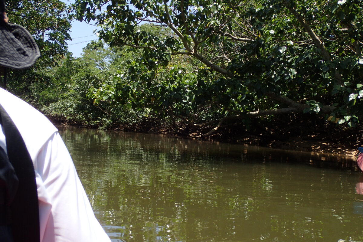 我が家のカメラで撮影、カヤックから