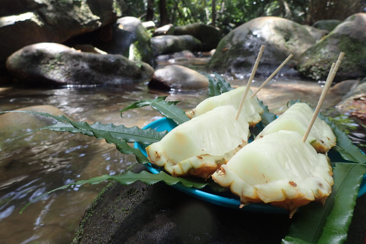 次女が撮ったおいしそうなピーチパイン