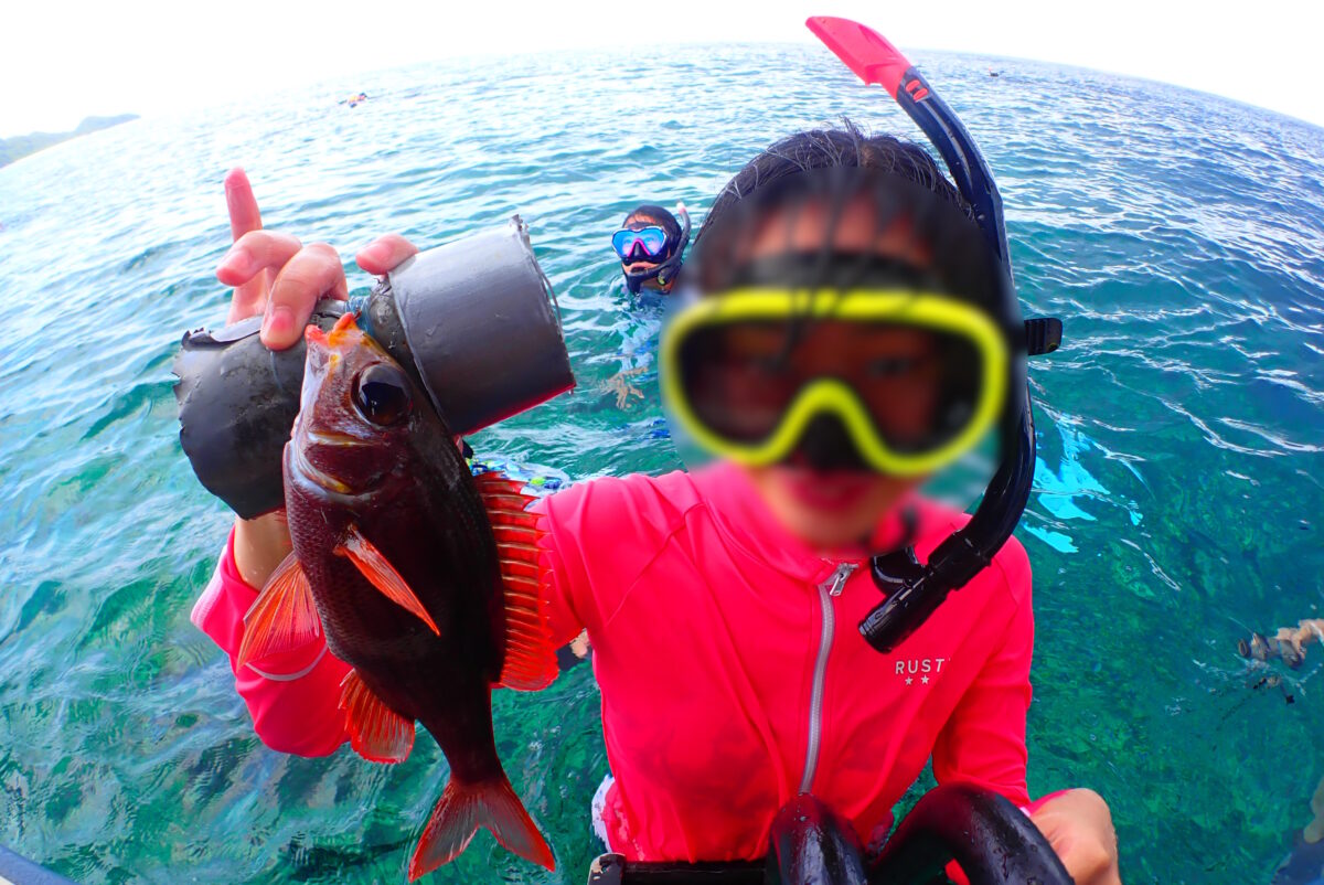 ノコギリダイと言ってたと思う