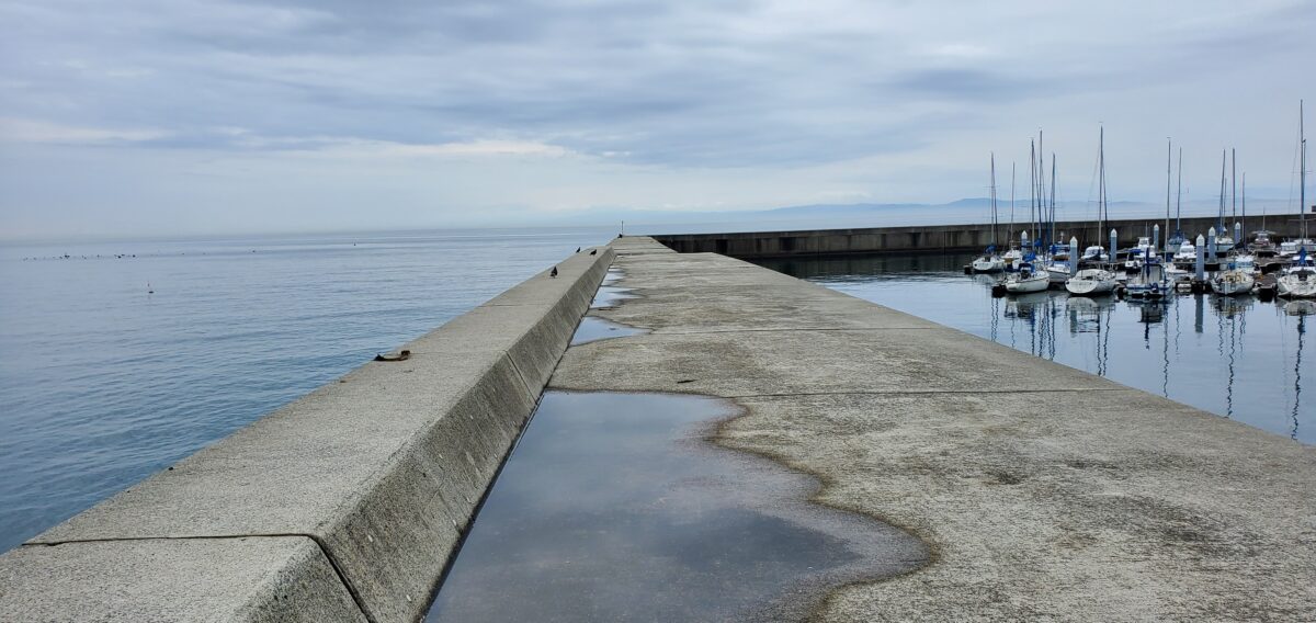 炬口漁港ガラガラ
