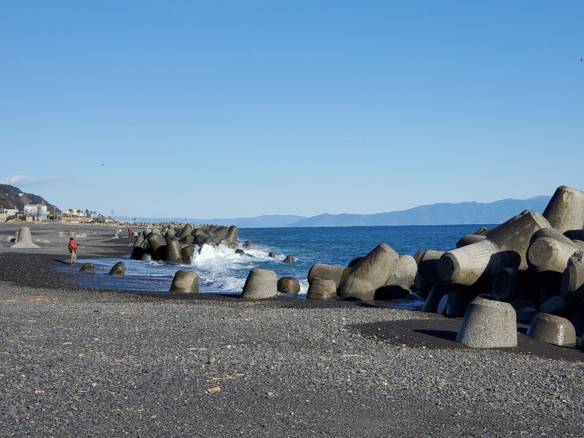 どんな魚が釣れるか見てみたかったな~