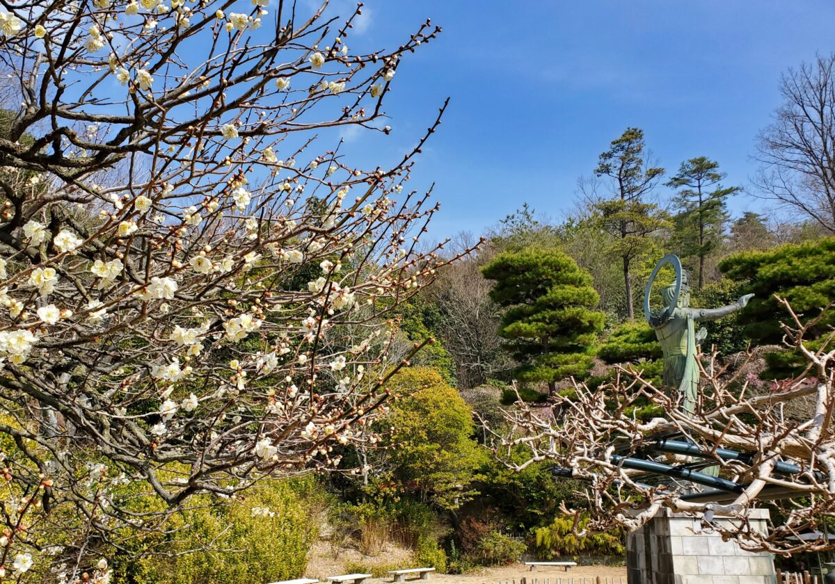 観音様の近くの広場