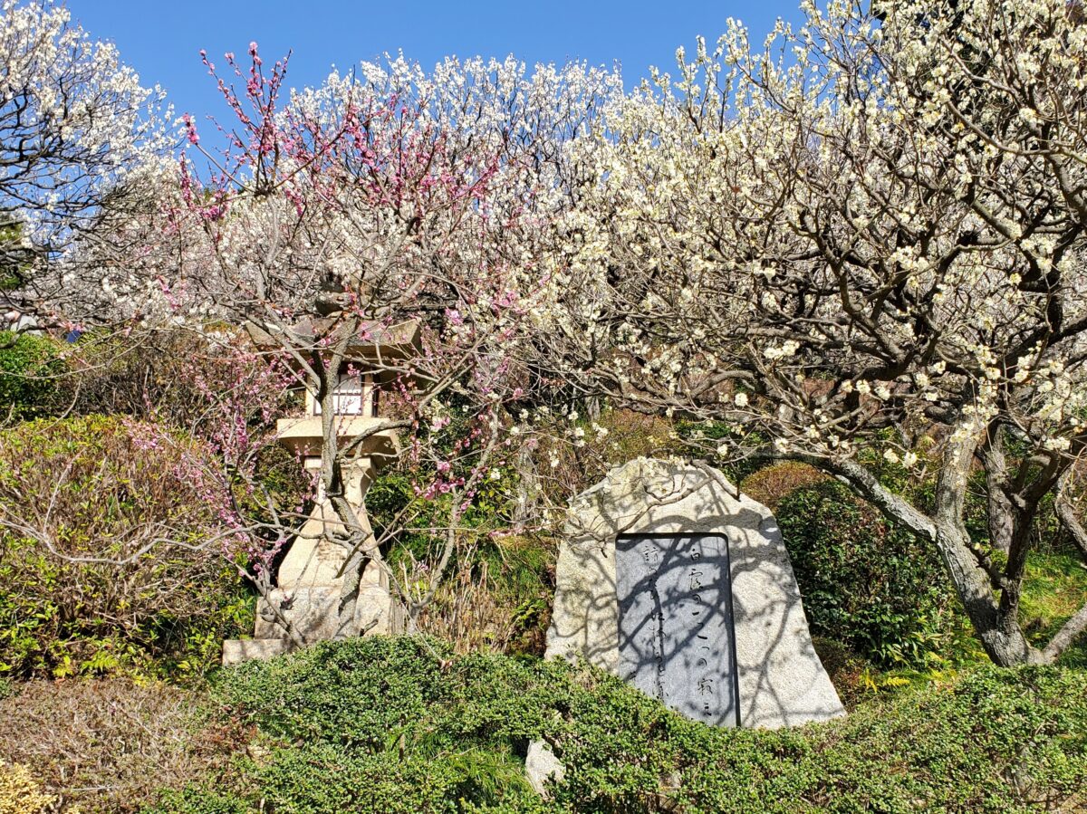 境内から入ってすぐのところにある碑