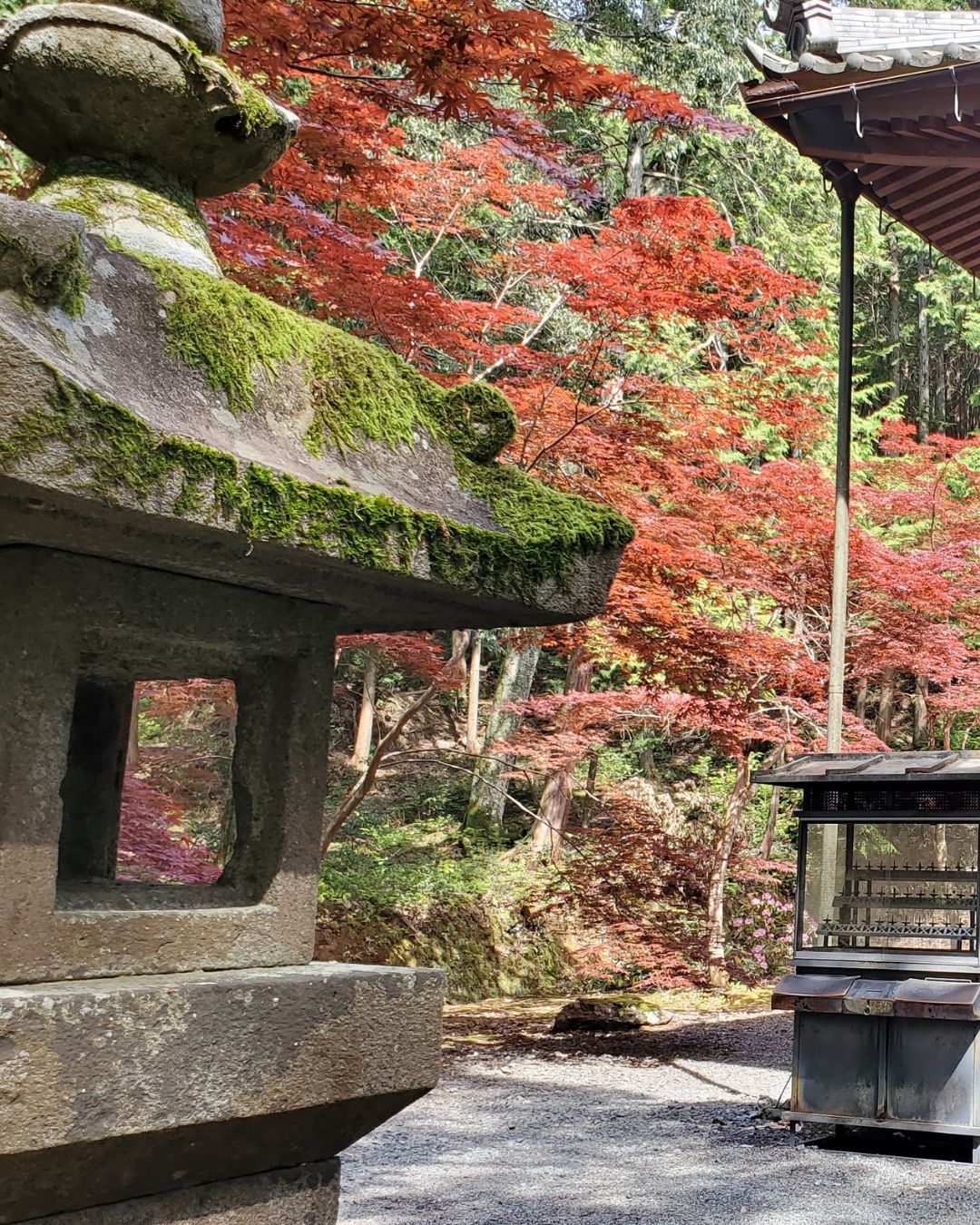 白毫寺苔むした石灯篭