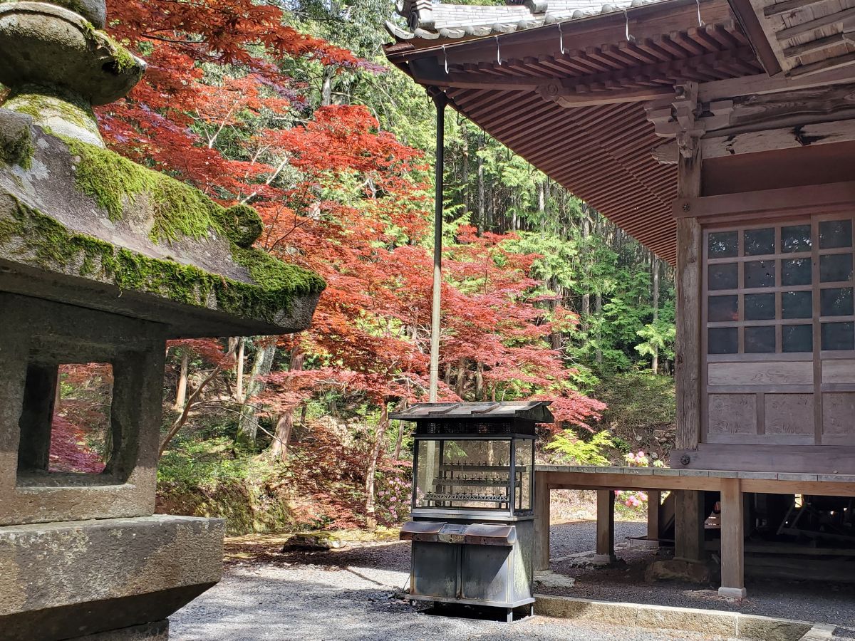 白毫寺苔むした石灯篭