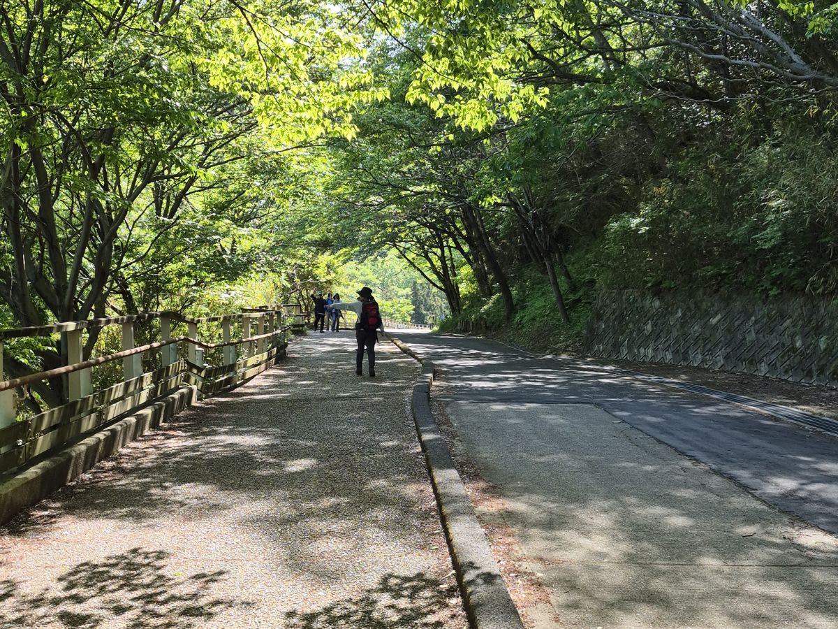 らくらく登山道は舗装されて歩きやすい