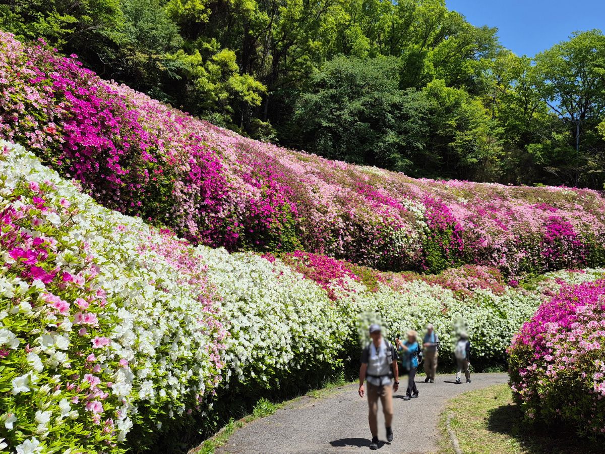 人の大きさと比べるとよくわかります