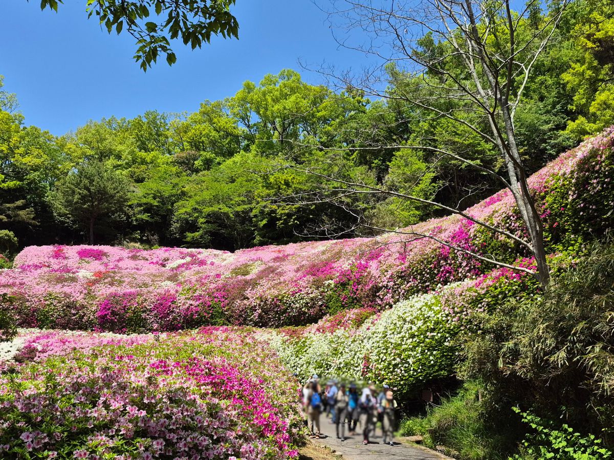 つつじ園の下イシダタミの路手前