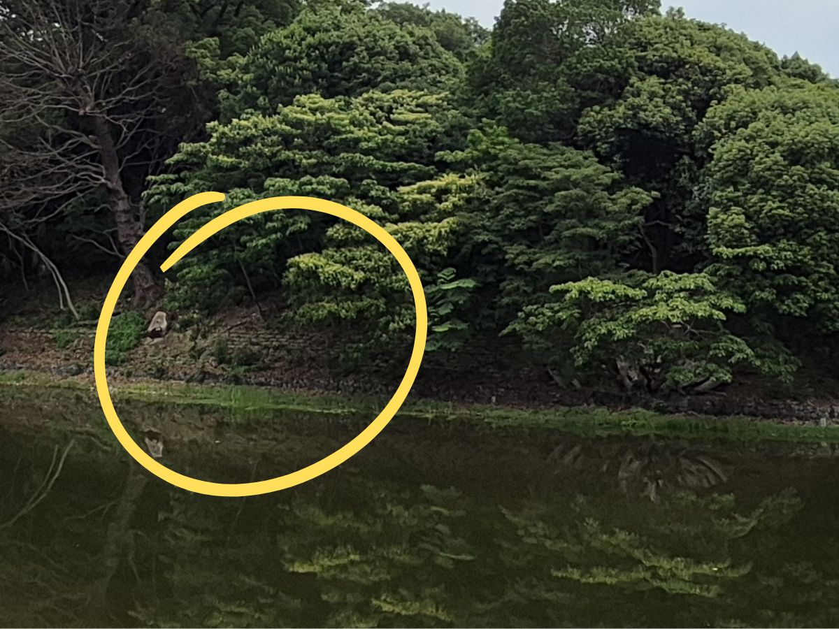 御廟山古墳の土嚢