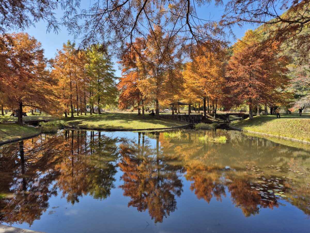 小野公園モネの池