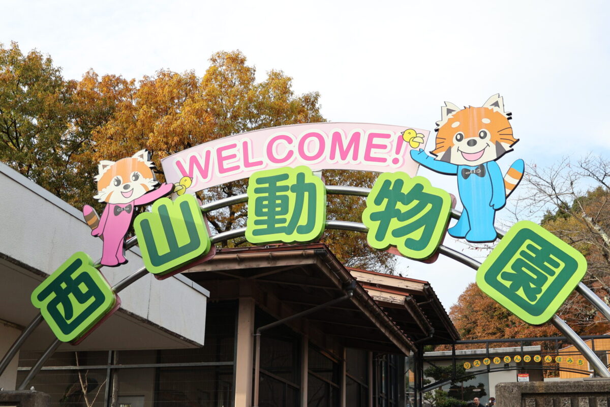 日本一小さい動物園の西山動物園