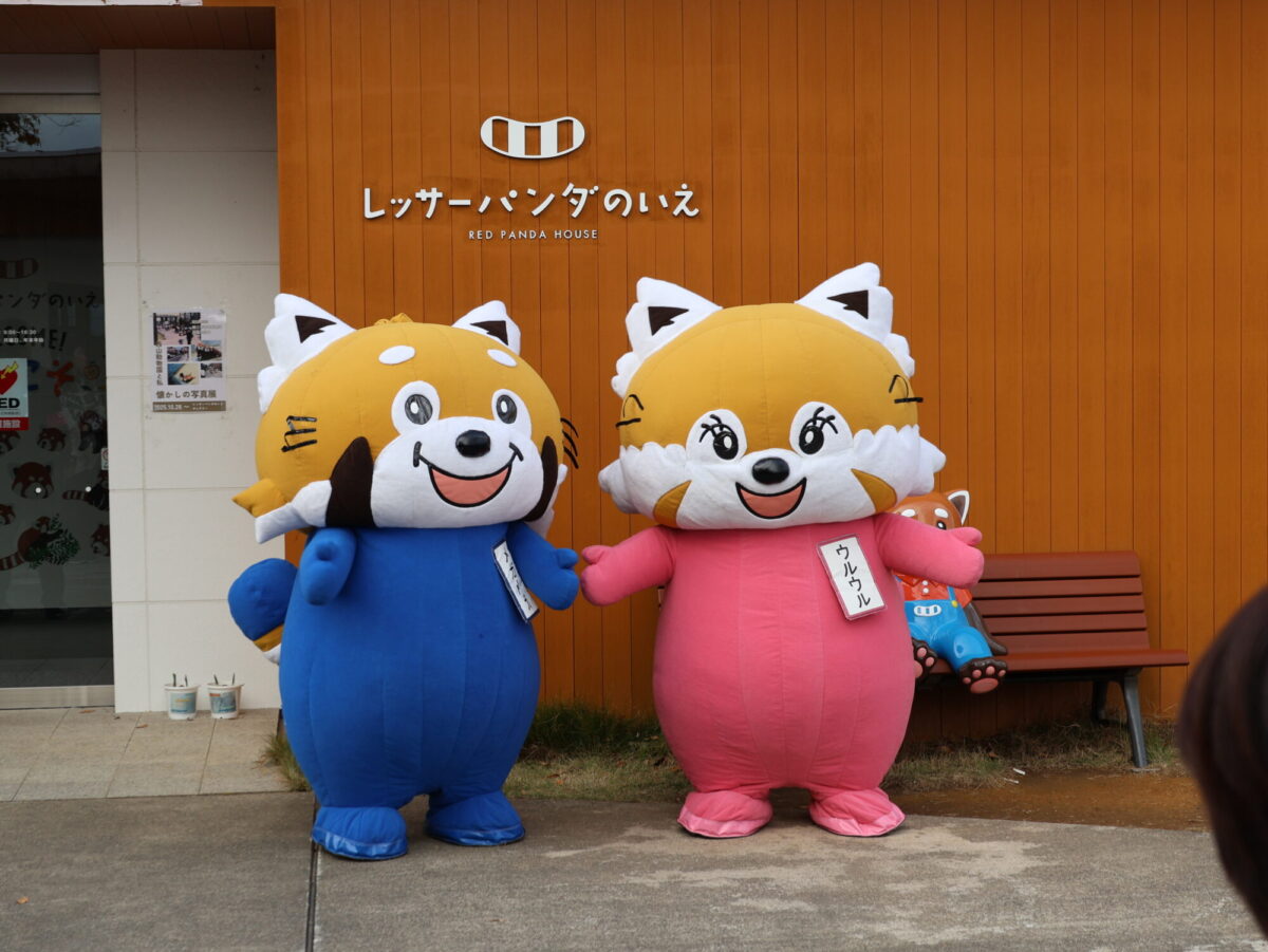 メガメガとウルウル