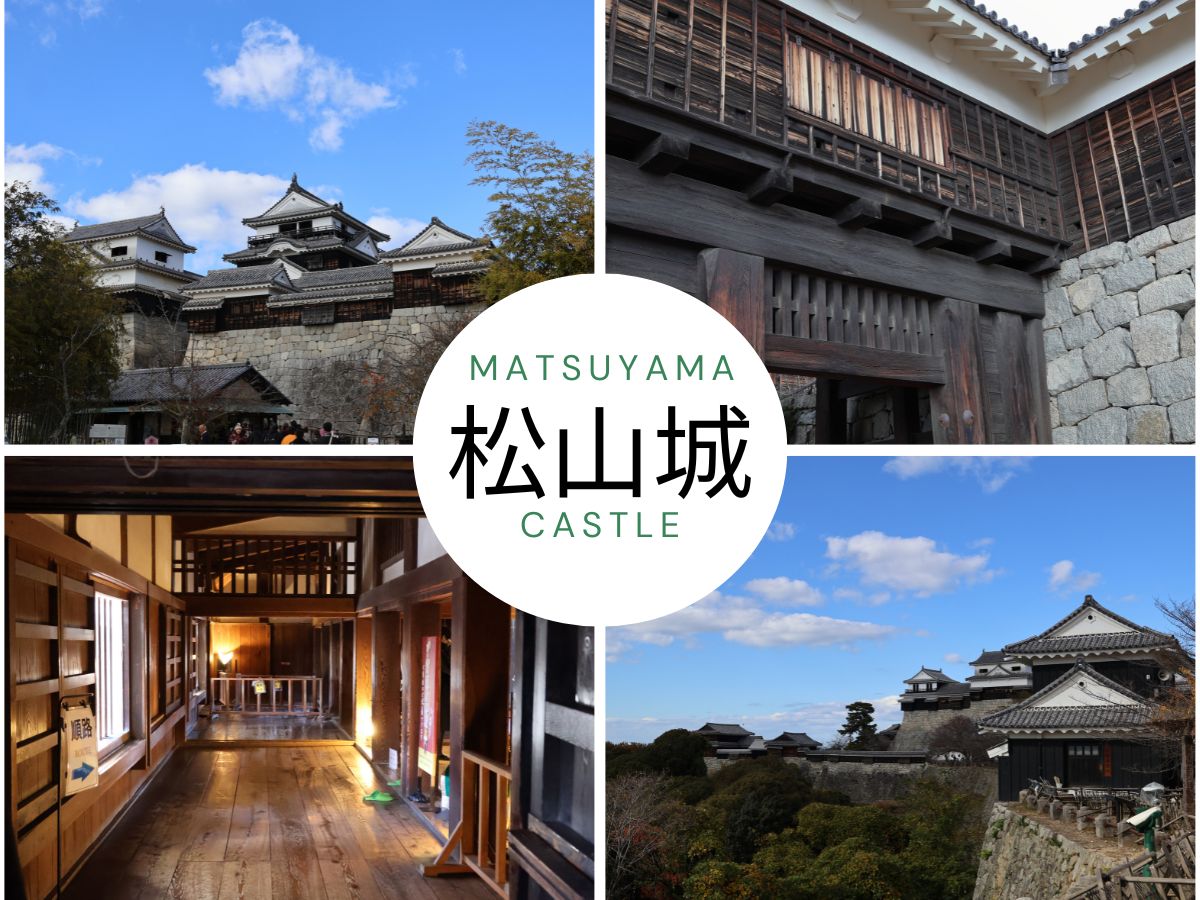 松山城（現存天守12城）