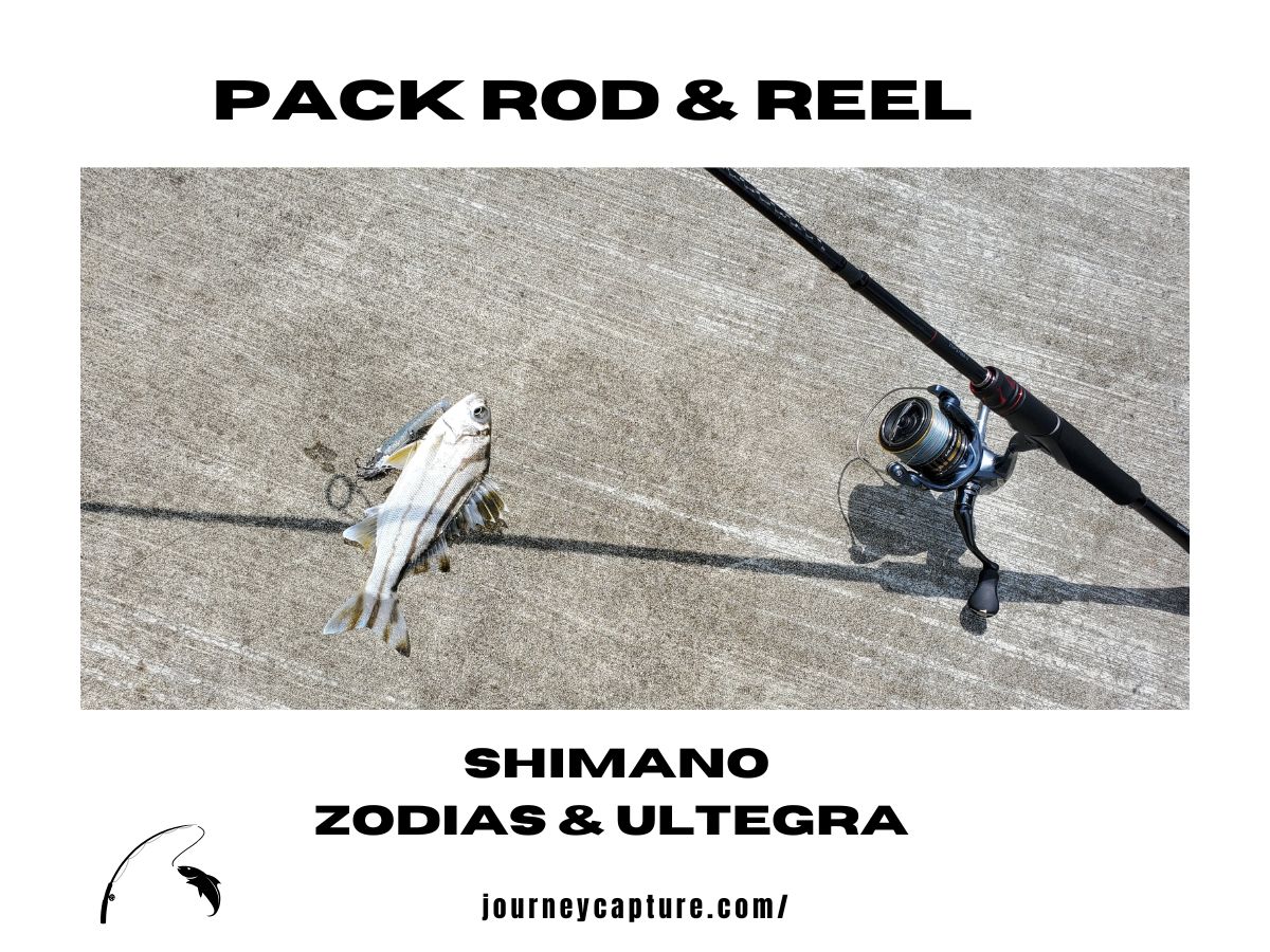 パックロッドとリール