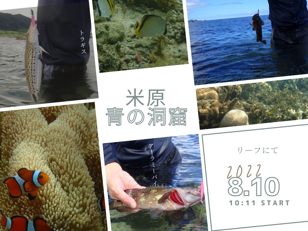 究極の釣り方は泳ぎ釣り