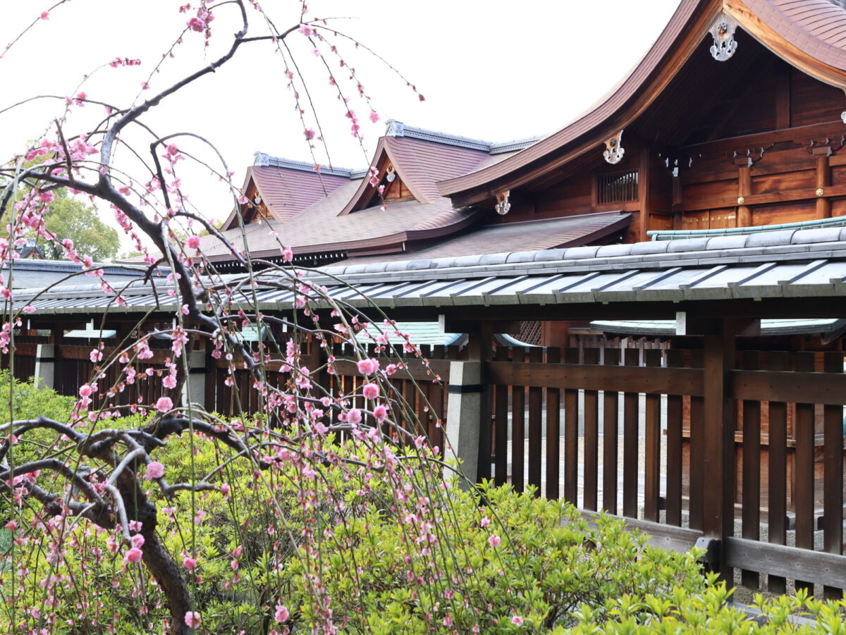 城南宮本殿としられ梅